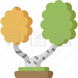 桦木图标