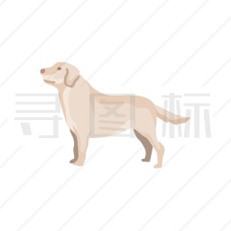 金毛猎犬图标