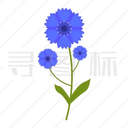 矢车菊图标