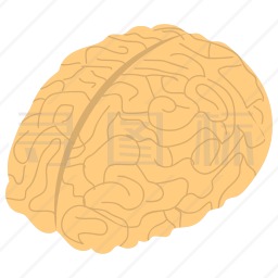 大脑图标