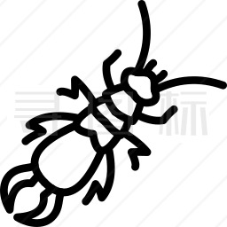 甲虫图标