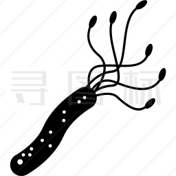 幽门螺杆菌图标