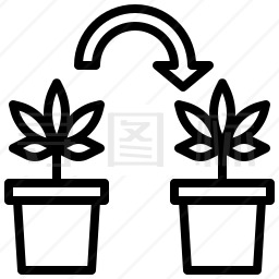 大麻图标