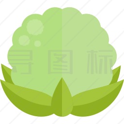 白菜图标