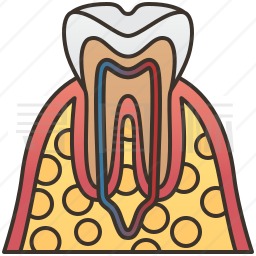 牙齿图标