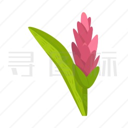 花图标