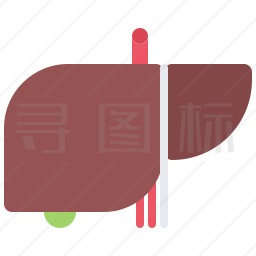 肝脏图标