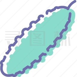 黄瓜图标