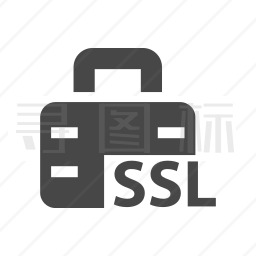 SSL图标