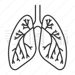 肺怎么画简笔画卡通图片
