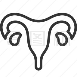 生殖器图标