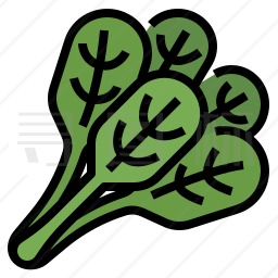 菠菜图标