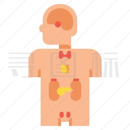 内分泌学图标