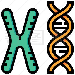 DNA与染色体图标