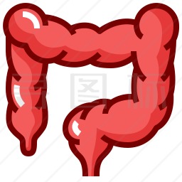 肠道图标