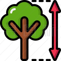 树木高度图标