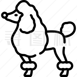 贵宾犬图标