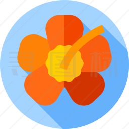 木槿花图标
