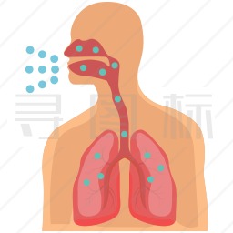 呼吸系统图标