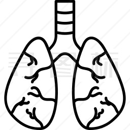 受感染的肺