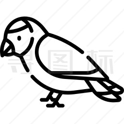 鹦鹉图标