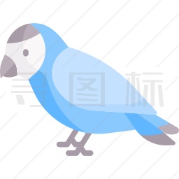 鹦鹉图标