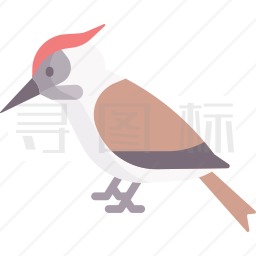 啄木鸟图标