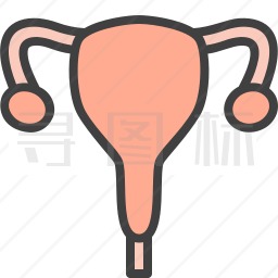 卵巢图标