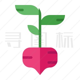 甜菜根图标