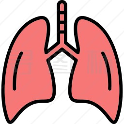 人肺图标