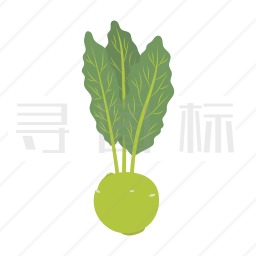 白菜图标