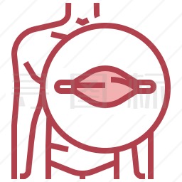 肌肉图标