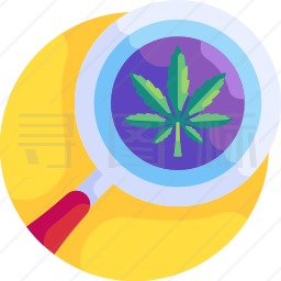 大麻研究图标