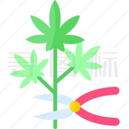 大麻采摘图标