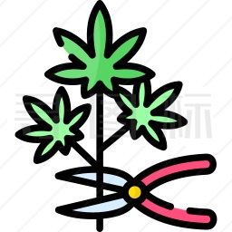 大麻采摘图标