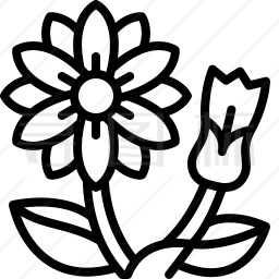 野生花卉图标