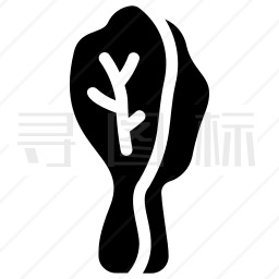 白菜图标