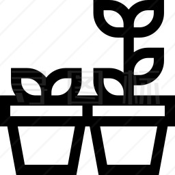 植物增长图标