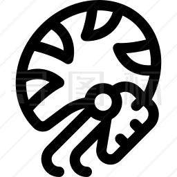 鹦鹉螺图标