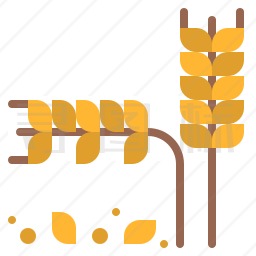 小麦籽粒图标