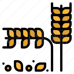 小麦籽粒图标