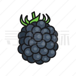 黑莓图标