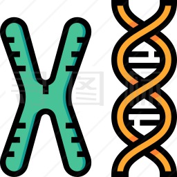 染色体DNA图标