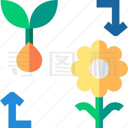种子和花朵图标