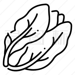 生菜怎么画简单图片
