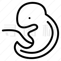 婴儿胚胎简笔画图片
