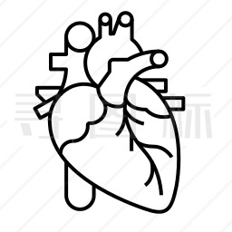 心脏器官图简画图片