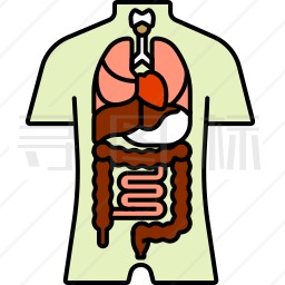 器官图标