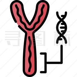 染色体图标