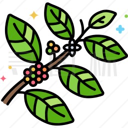 咖啡植物图标